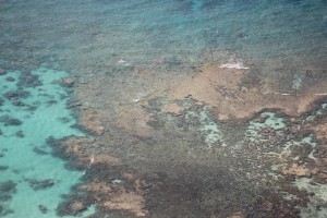 Permalink to:What makes us different