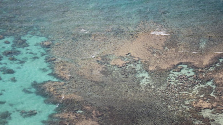 The Daily DX Difference